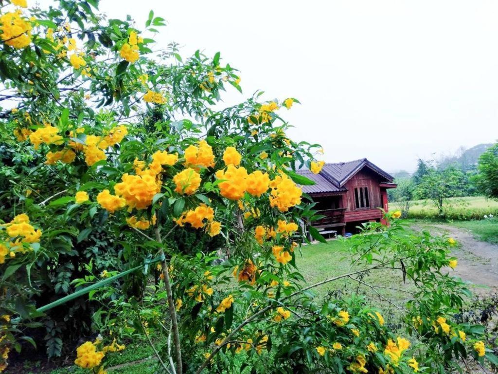 Nai Khun Khao Resort Chiang Mai Bagian luar foto