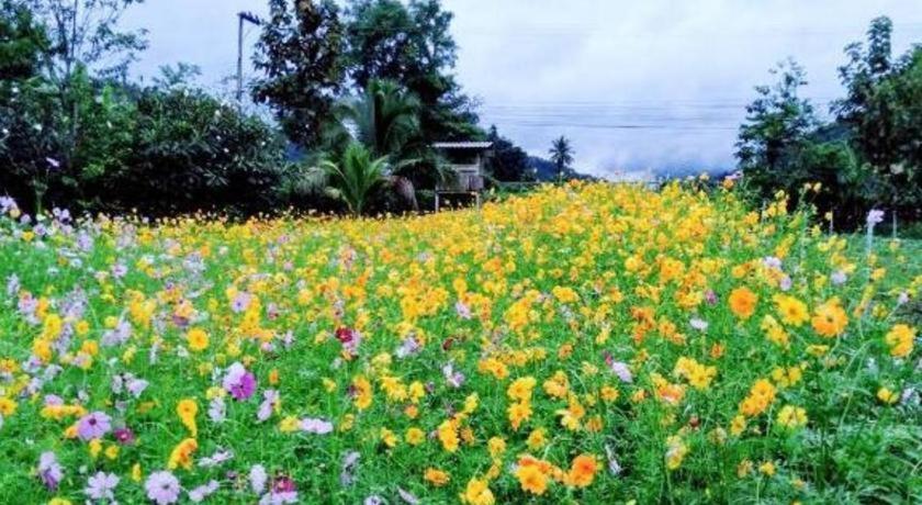 Nai Khun Khao Resort Chiang Mai Bagian luar foto